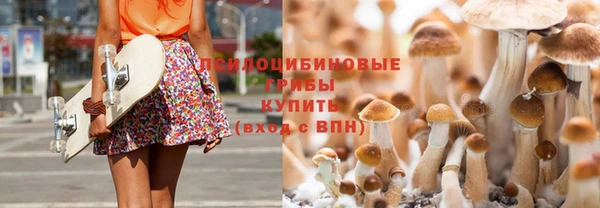 первитин Алексеевка