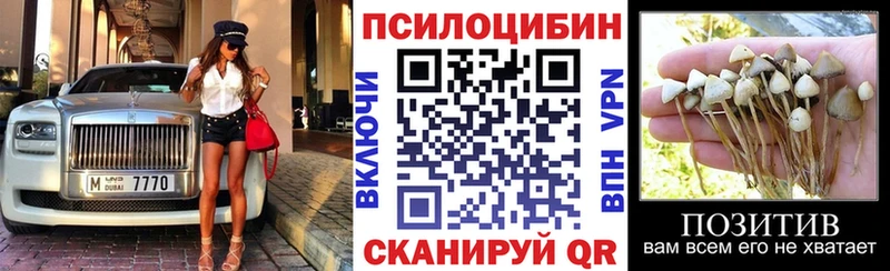 где найти   Аксай  Галлюциногенные грибы Psilocybe 